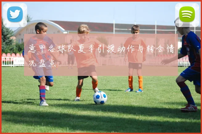 意甲各球队夏季引援动作与转会情况盘点