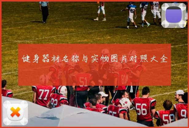 健身器材名称与实物图片对照大全